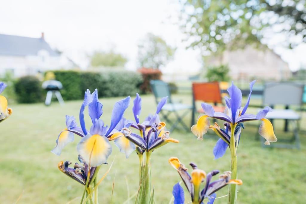 Le Beaumont • La Belle Campagne • La Plenitude Villa Déols Dış mekan fotoğraf